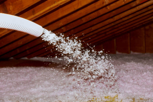 Best Insulation Repair Services  in Cheat Lake, WV