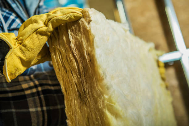 Best Crawl Space Insulation  in Cheat Lake, WV