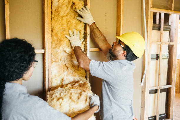 Best Wall Insulation Contractor  in Cheat Lake, WV
