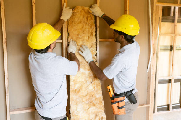 Best Residential Insulation Services  in Cheat Lake, WV