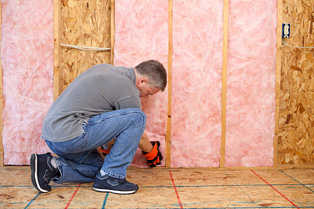 Best Blown-in Insulation  in Cheat Lake, WV