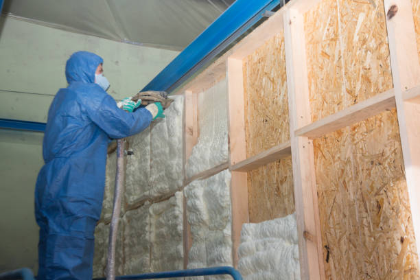 Best Professional Insulation Contractor  in Cheat Lake, WV