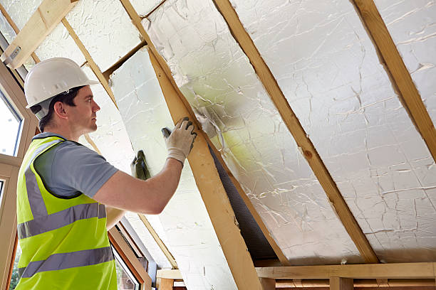 Best Garage Insulation Installation  in Cheat Lake, WV