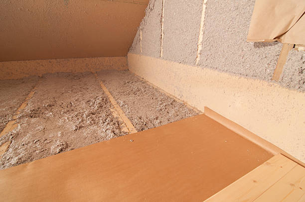 Best Insulation Inspection Services  in Cheat Lake, WV