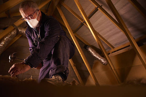 Best Attic Insulation Installation  in Cheat Lake, WV